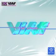 VINI