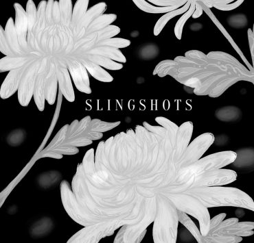 Coming Up Roses - Slingshots